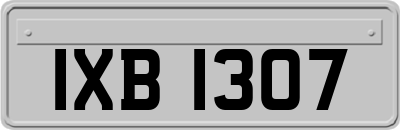 IXB1307