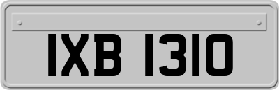 IXB1310