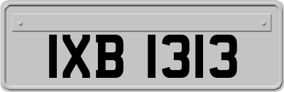 IXB1313