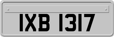 IXB1317