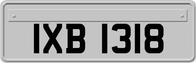 IXB1318