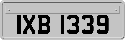 IXB1339
