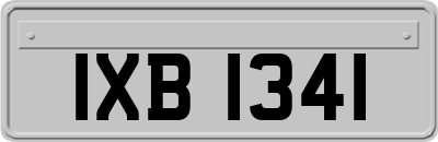 IXB1341