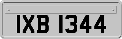 IXB1344
