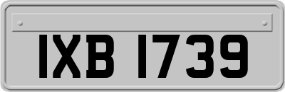 IXB1739
