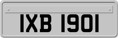 IXB1901
