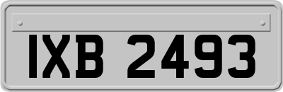 IXB2493