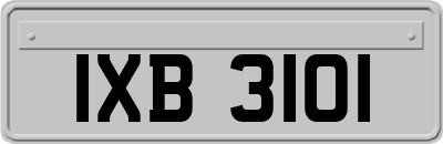IXB3101
