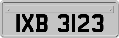 IXB3123