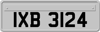 IXB3124