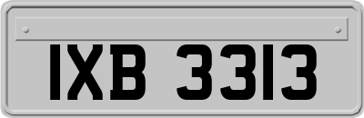 IXB3313