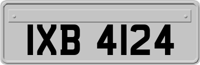IXB4124