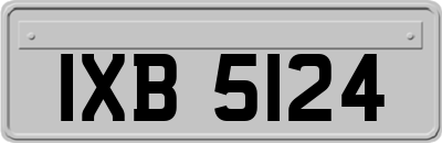 IXB5124