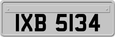 IXB5134