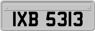 IXB5313