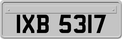IXB5317