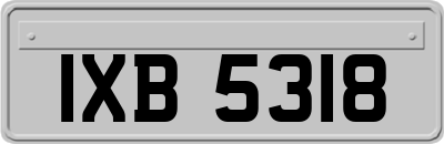 IXB5318