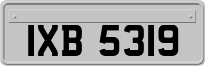 IXB5319