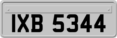 IXB5344