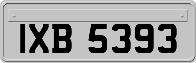 IXB5393