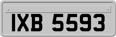 IXB5593