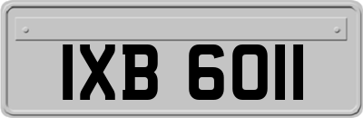 IXB6011
