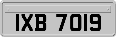 IXB7019