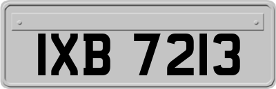 IXB7213