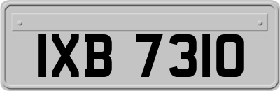 IXB7310
