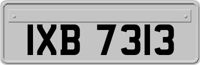 IXB7313