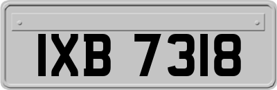 IXB7318