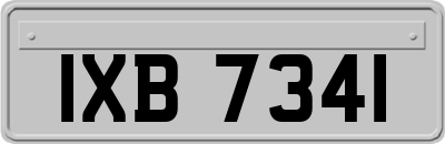 IXB7341