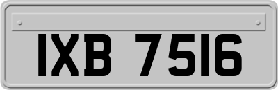 IXB7516