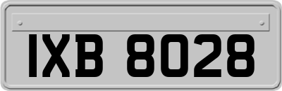 IXB8028