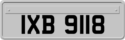 IXB9118