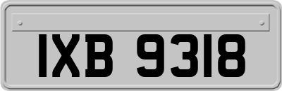 IXB9318