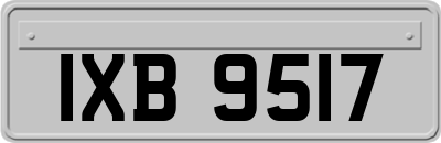 IXB9517