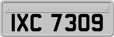 IXC7309