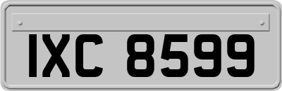 IXC8599
