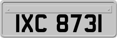IXC8731