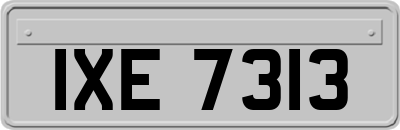 IXE7313