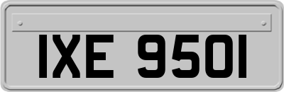 IXE9501