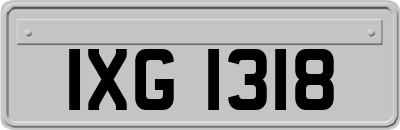 IXG1318