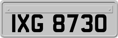 IXG8730