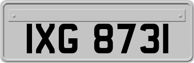IXG8731