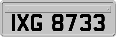 IXG8733