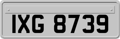 IXG8739