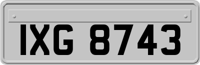 IXG8743