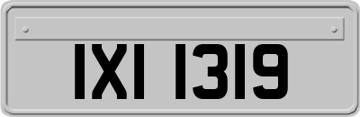 IXI1319