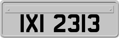 IXI2313